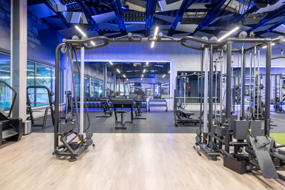 FALCON GYM - Photo 3